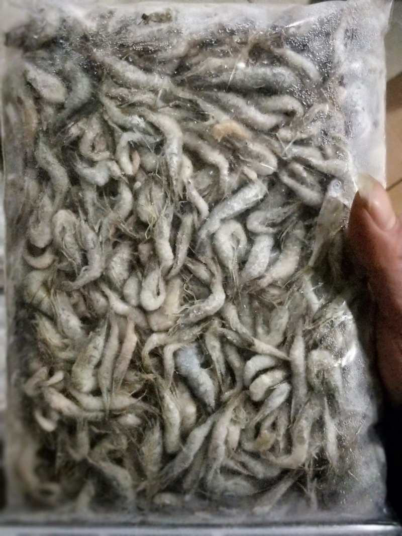 青虾