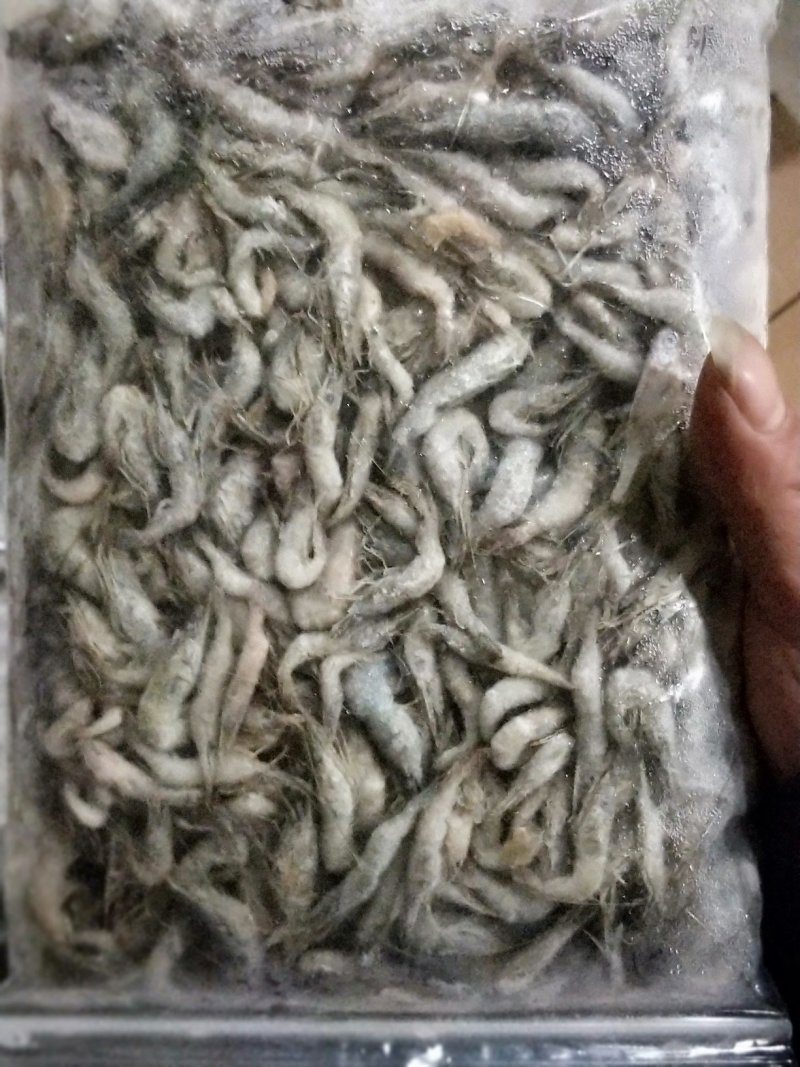 青虾