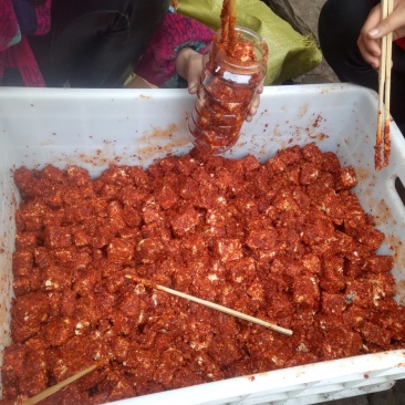 四川麻辣豆腐