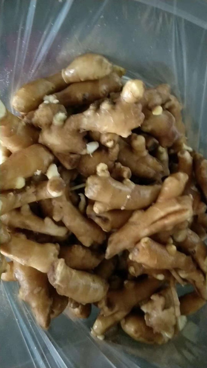 水洗姜巴