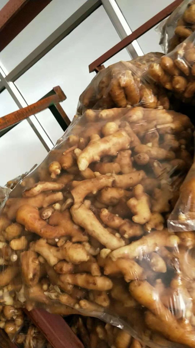 水洗姜巴