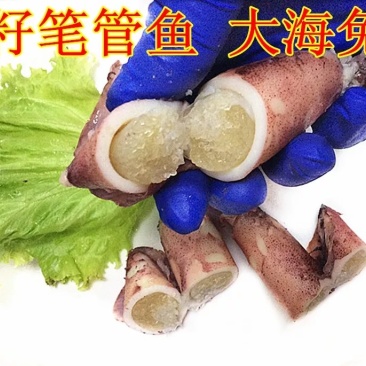 【海兔墨鱼仔八爪鱼海鲜水产鲜活笔管鱼冷冻乌贼满籽籽乌批发
