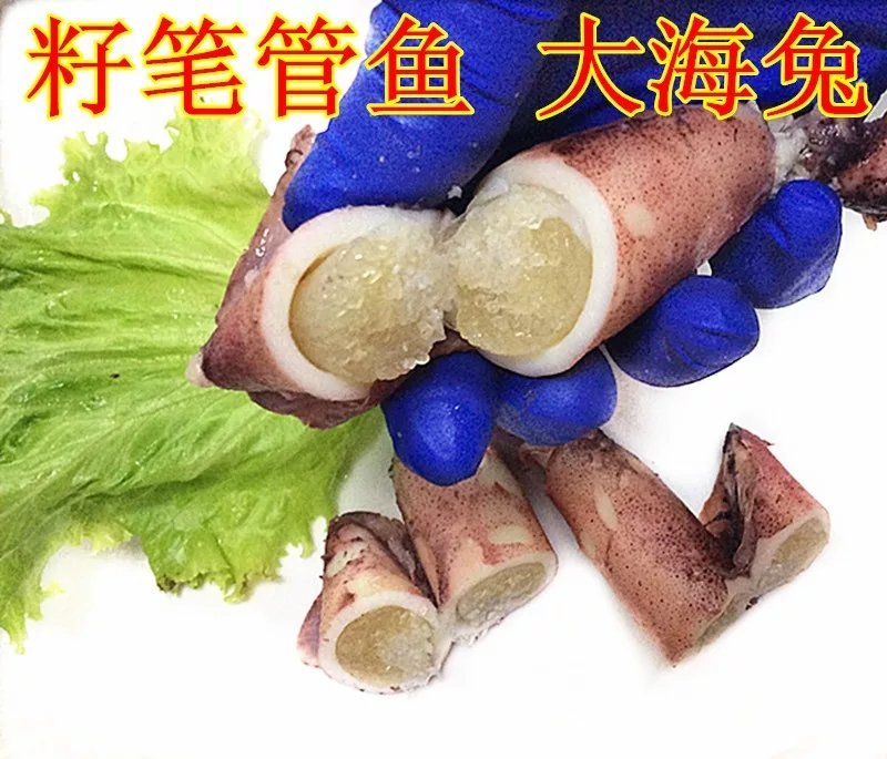 【海兔墨鱼仔八爪鱼海鲜水产鲜活笔管鱼冷冻乌贼满籽籽乌批发