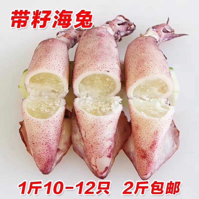 【海兔墨鱼仔八爪鱼海鲜水产鲜活笔管鱼冷冻乌贼满籽籽乌批发