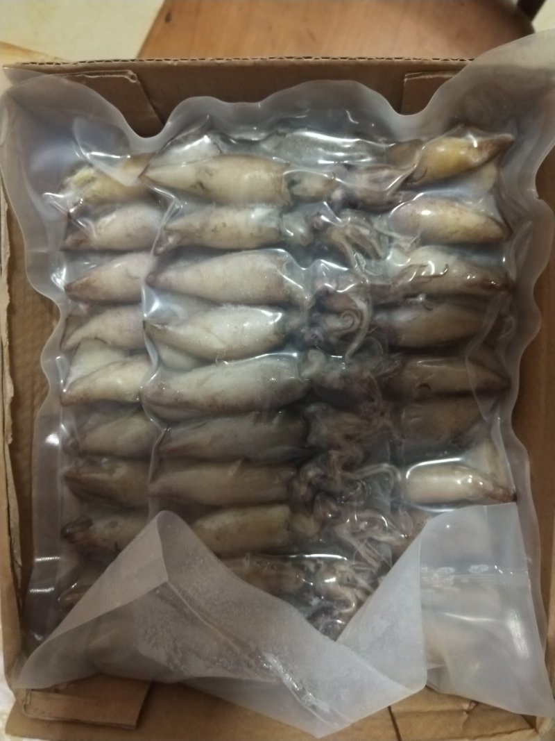 【海兔墨鱼仔八爪鱼海鲜水产鲜活笔管鱼冷冻乌贼满籽籽乌批发