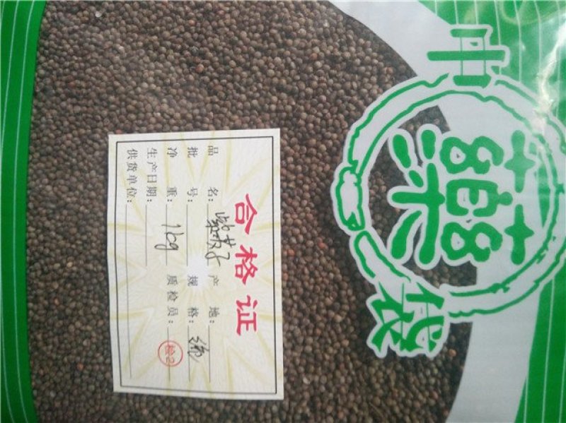 紫苏子药用供应上千余种药材