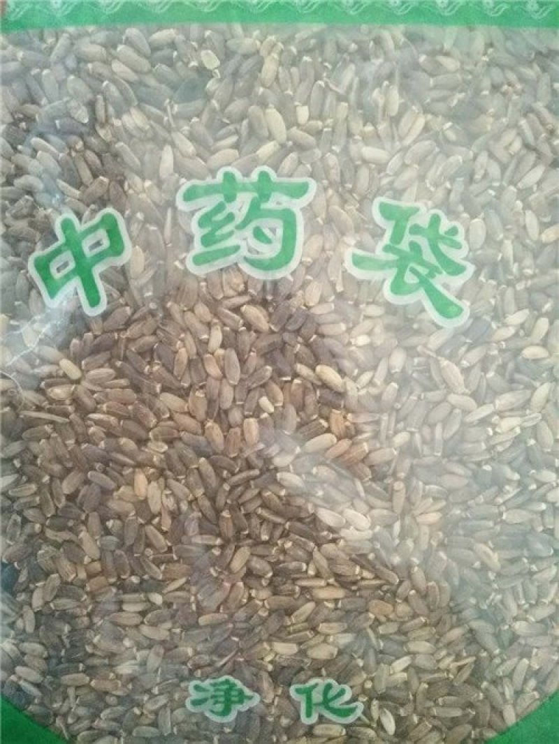 水飞蓟籽