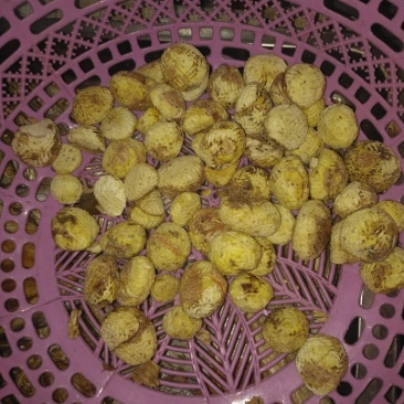 去皮板粒