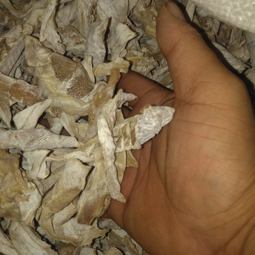 笋干