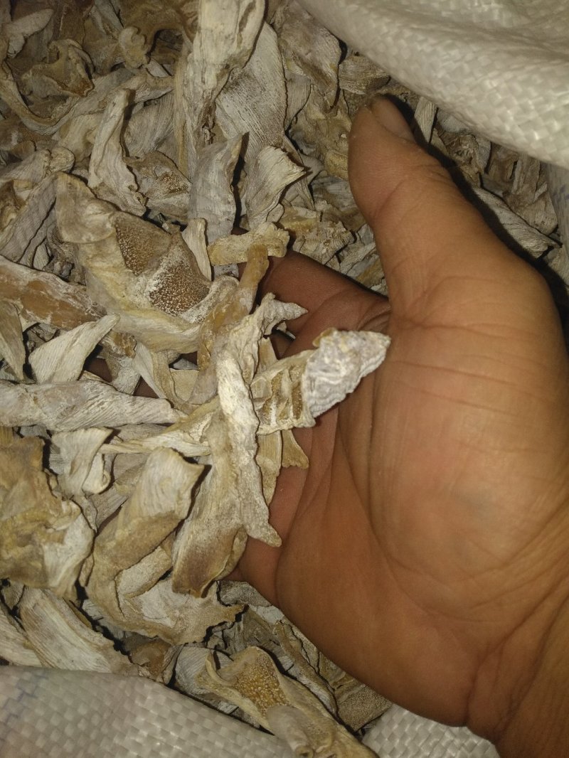 笋干