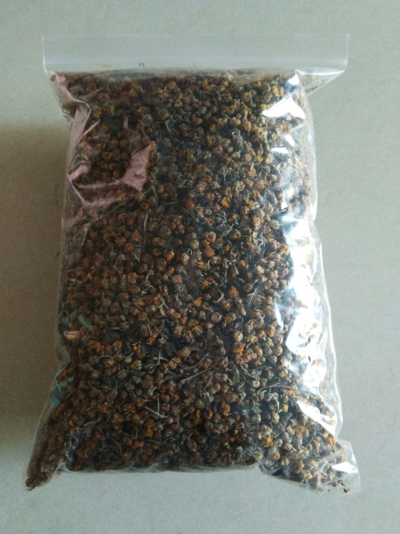经环野菊花