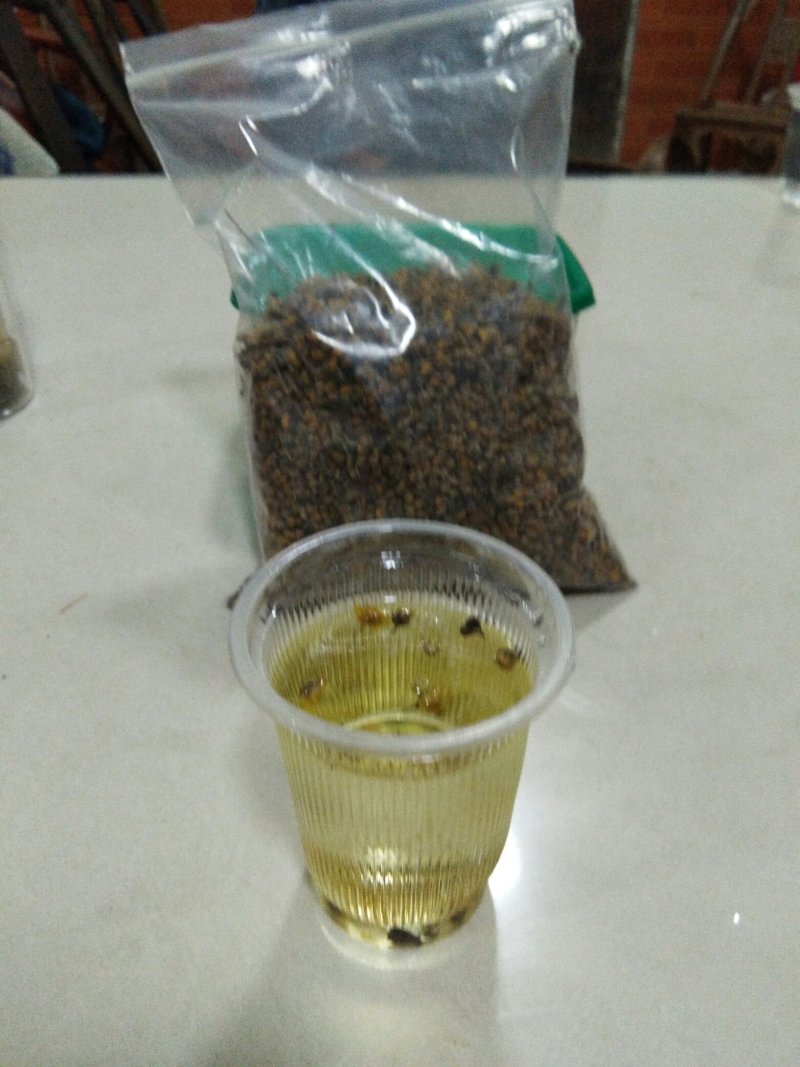 经环野菊花
