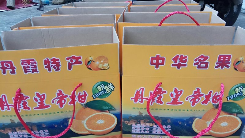 正宗贡柑高品质种植基地6.0～6.5cm以上