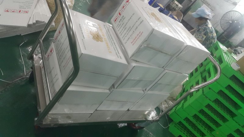 越南WW320腰果
