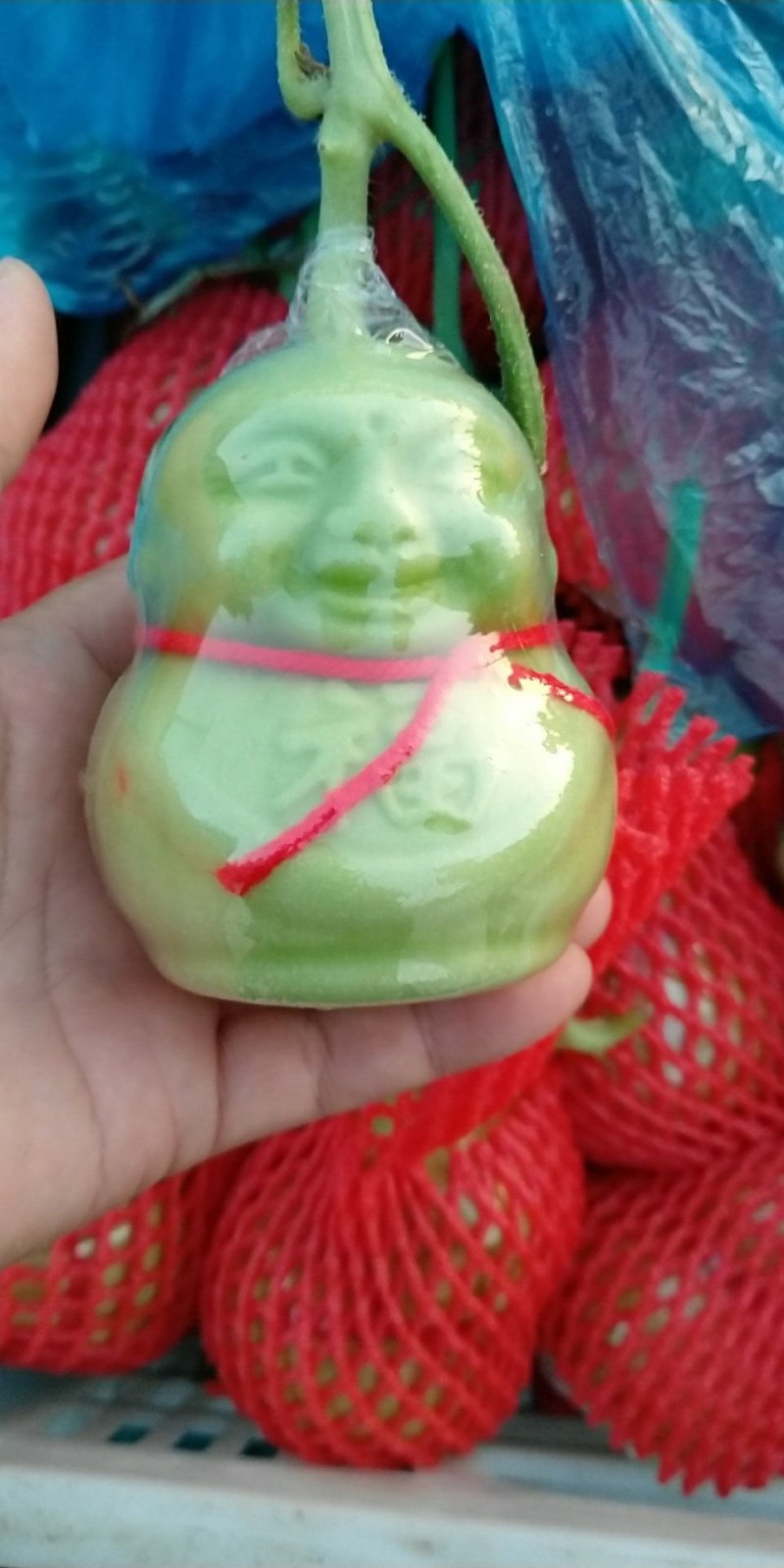人参果