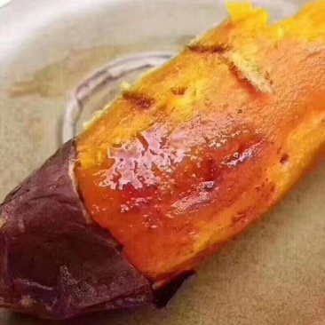 黄河故道沙地蜜薯红皮红心5斤装一件代发