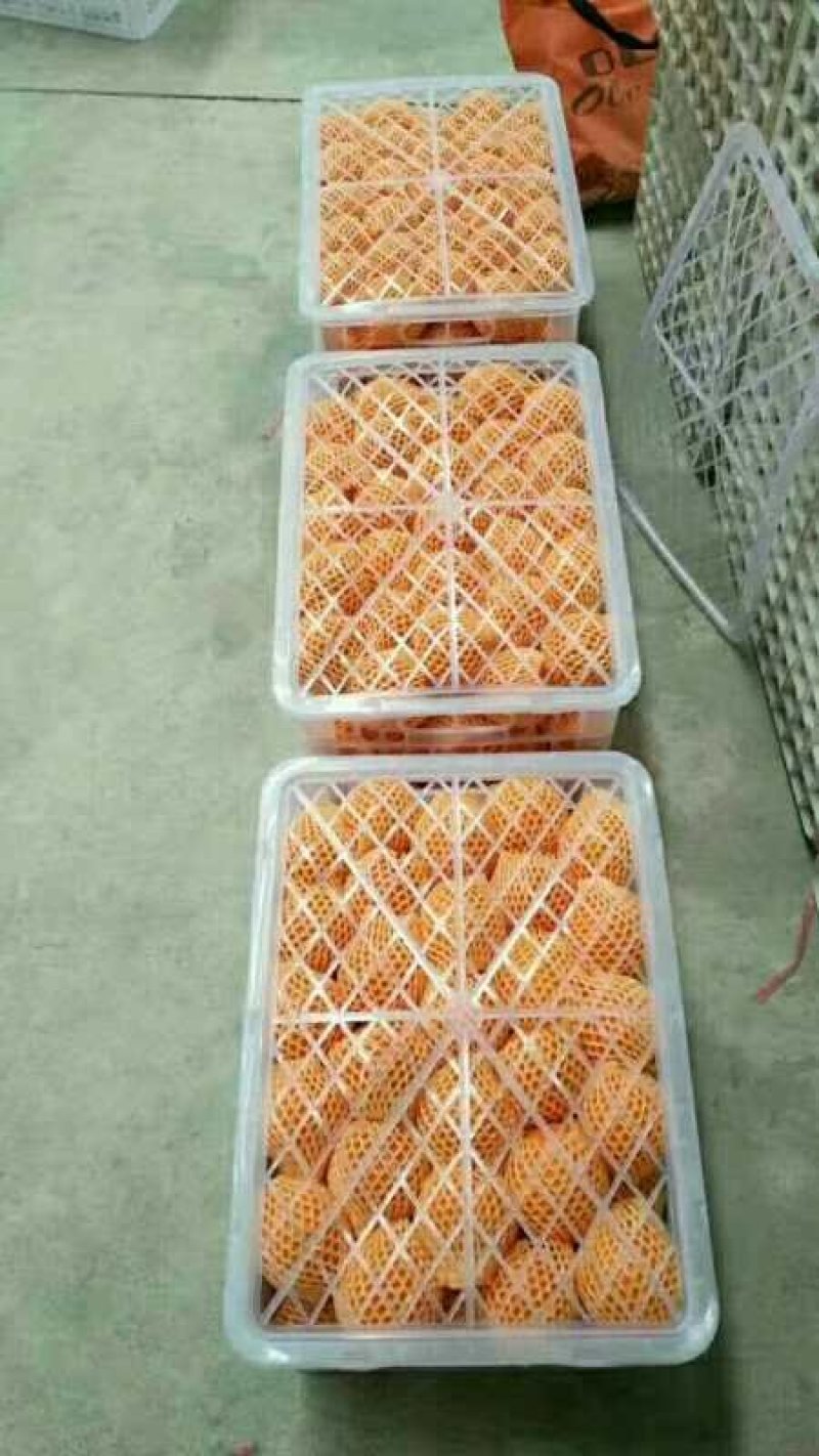 精品纽荷尔脐橙果园看货以质量论价格