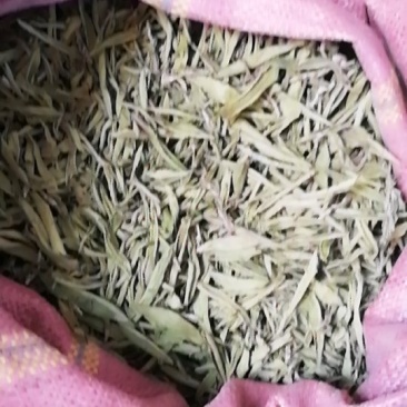 优质谱六甜叶菊干叶
