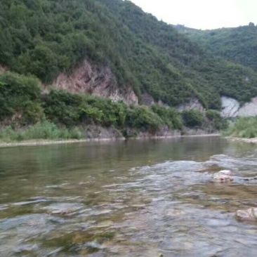 优质土地寻求合作或者出租