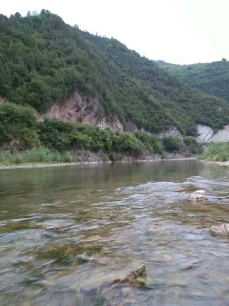 优质土地寻求合作或者出租