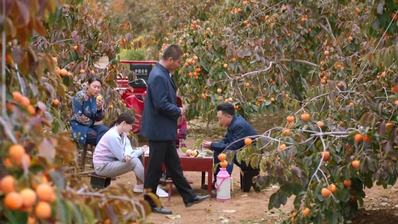柿饼