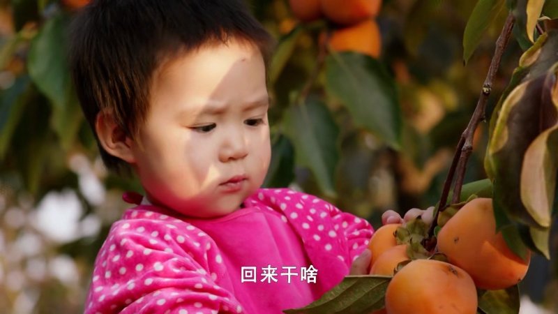 柿饼