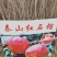 石榴苗，泰山石榴树苗