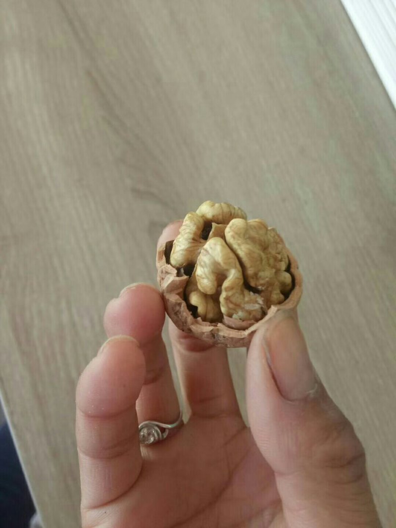 核桃