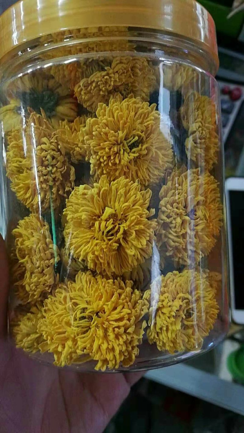 皇菊茶