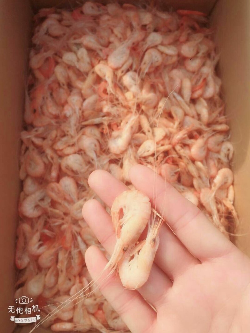小青虾