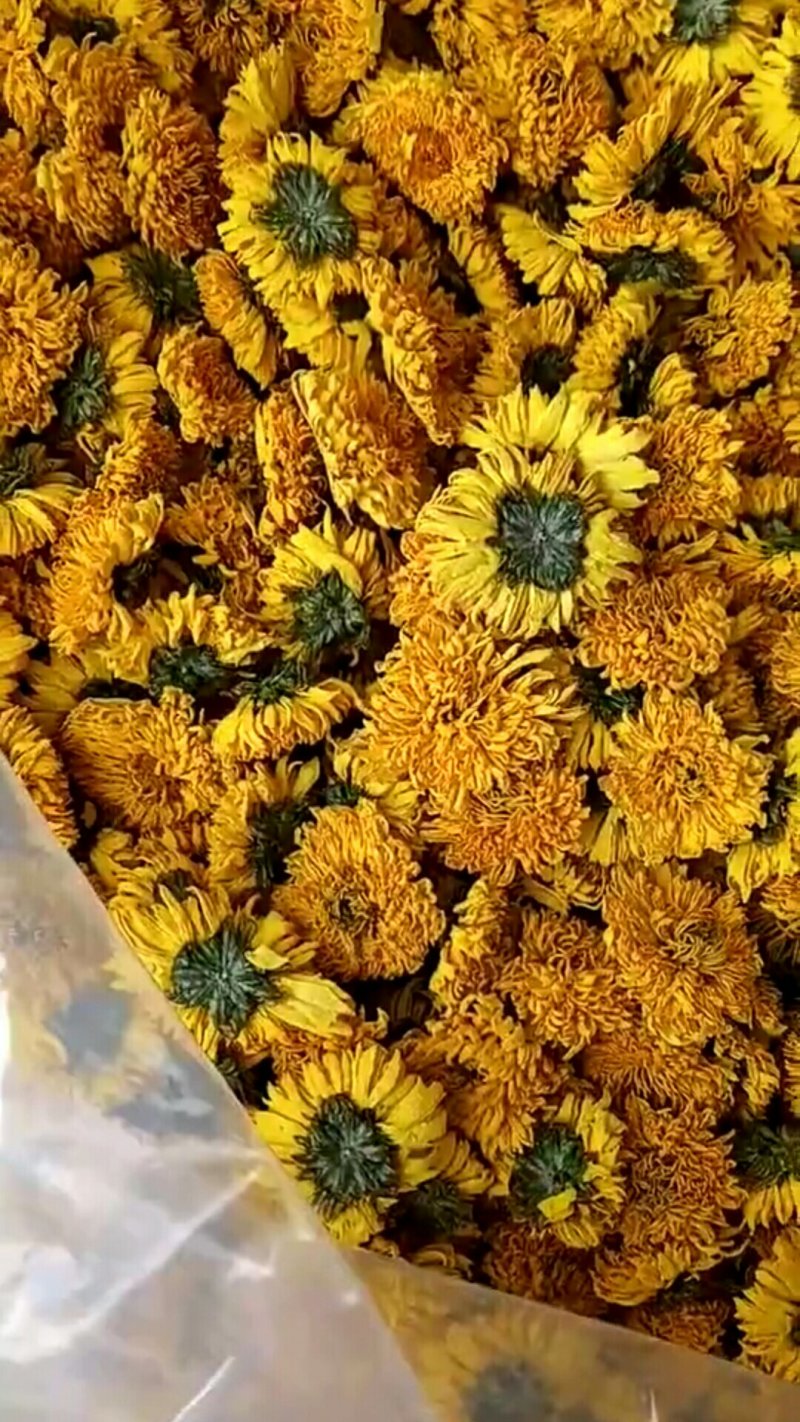 菊花茶
