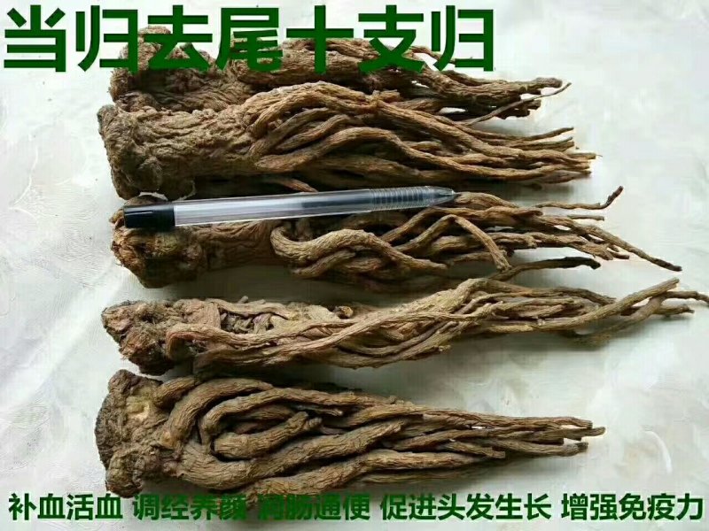 当归片当归头及各个规格加工