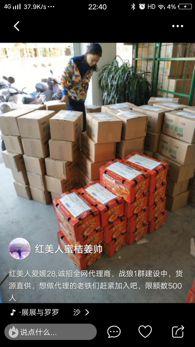 红美人蜜桔，南丰蜜桔，南丰蜜广桔南丰脐橙