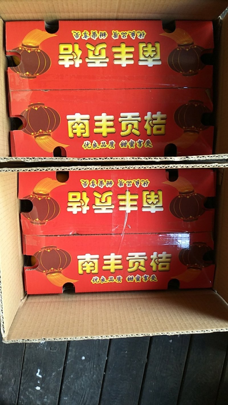 红美人蜜桔，南丰蜜桔，南丰蜜广桔南丰脐橙