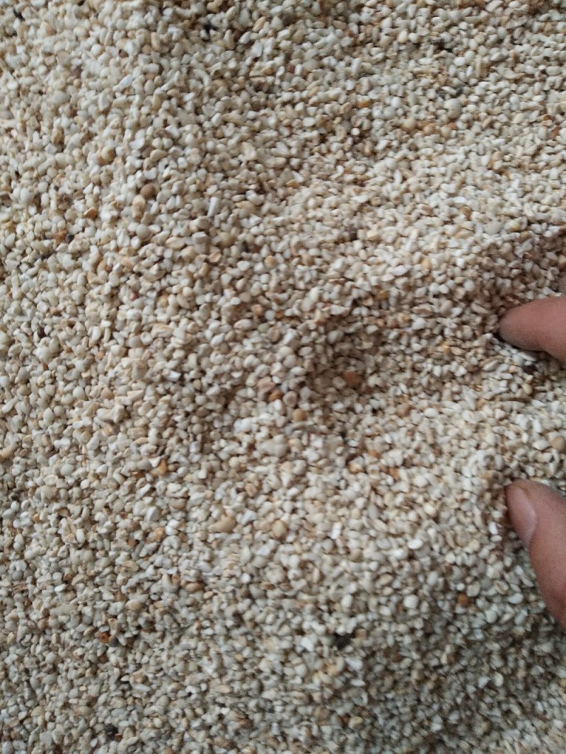 碎薏米