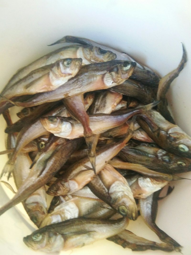 鲅鱼干花鱼干刀鱼干
