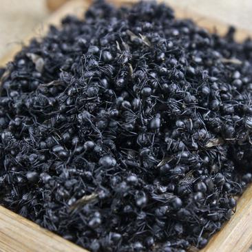 黑蚂蚁批发各种规格中药材冷药材