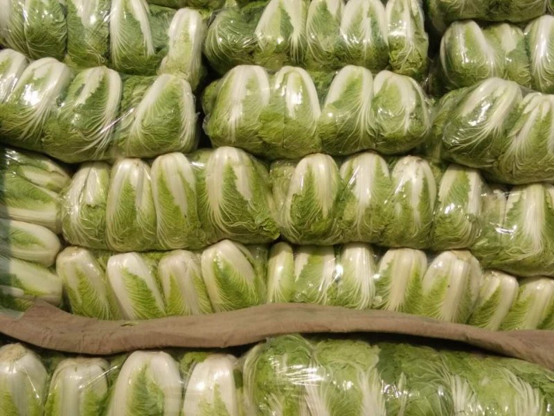 青杂白菜(产地直供)货源充足，绿翠源果蔬专业合作社
