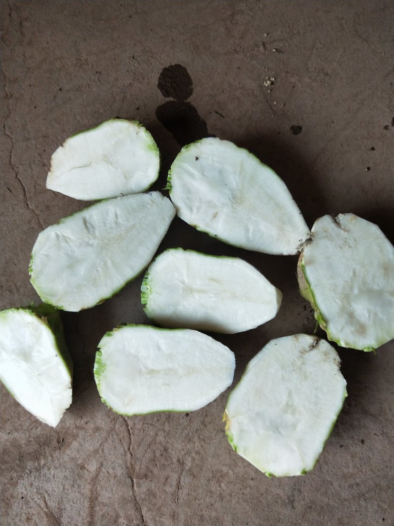 大头菜种植基地批发新鲜榨菜