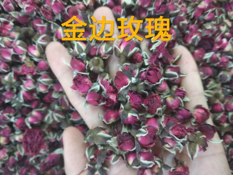 金边玫瑰