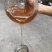 土蜂蜜