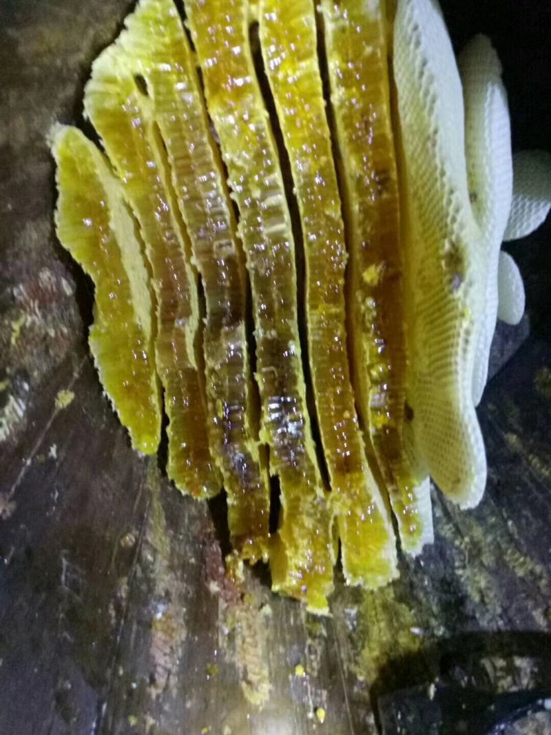 土蜂蜜