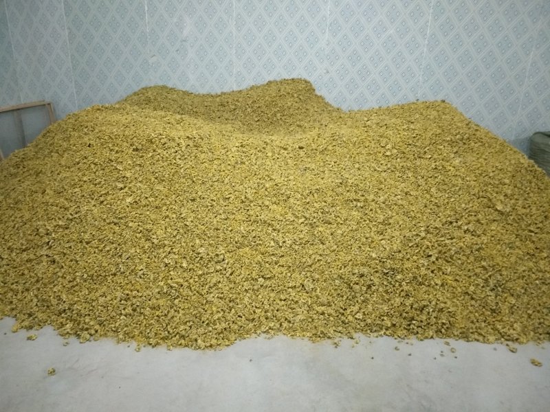 陕西渭南杭白菊