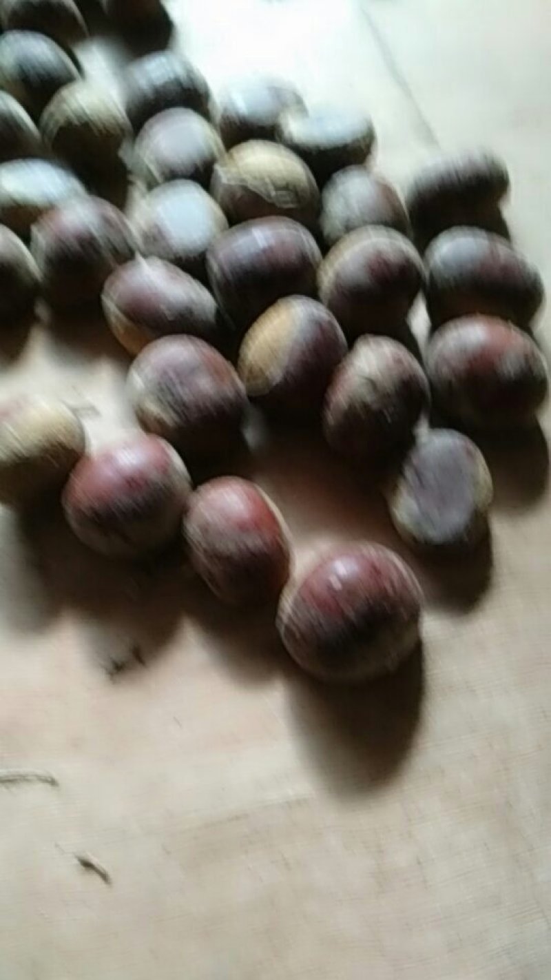 板栗：好货