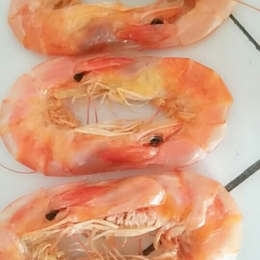 无盐烤对虾干