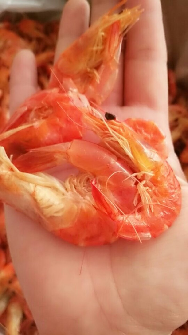 无盐烤虾干