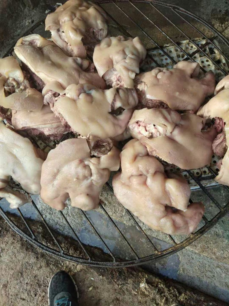 猪头肉