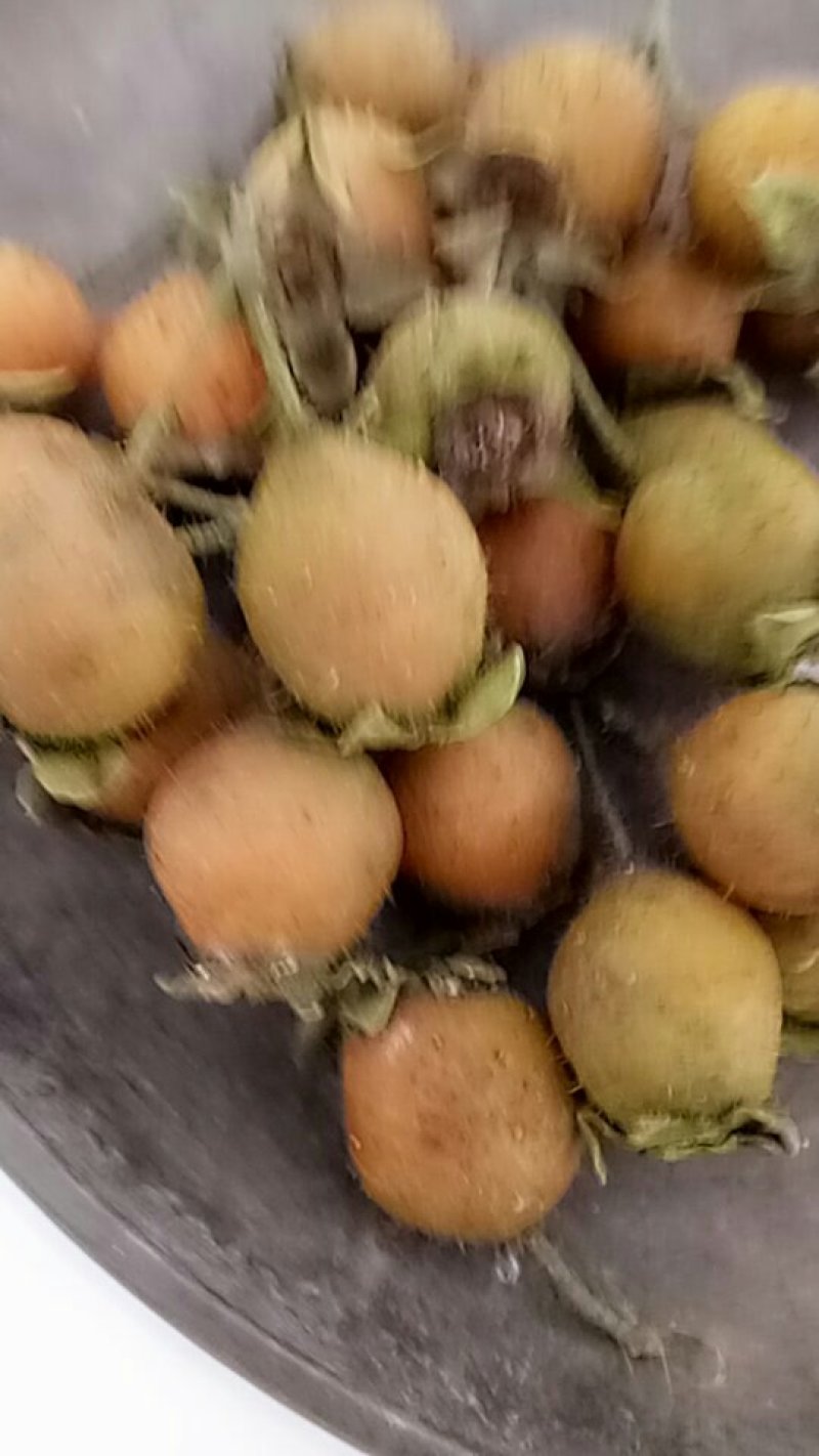无籽无核金刺梨