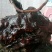 花卉野生何首乌盆栽