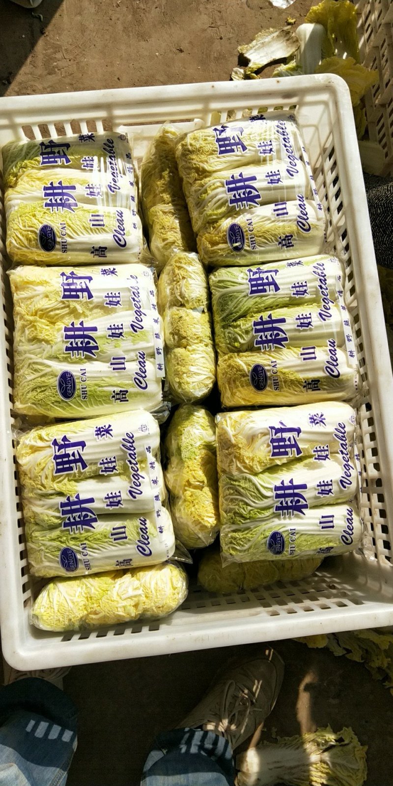 娃娃菜一斤半以上